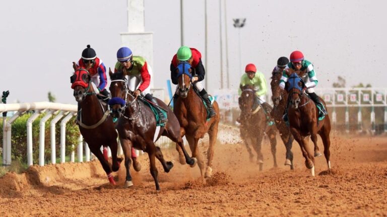 شغف الخيل يجمع ليبيا في مضمار شهداء مصراتة
