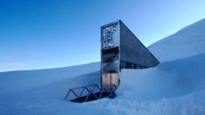 حصن البذور الأخير: قبو سفالبارد.. تأمين عالمي ضد كوارث المستقبل