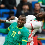 “إغـلاق مركزي في طـنجة.. سيادة الـتيرانـجا تـبتلع مزاد الـصقور الـمفاجئ”