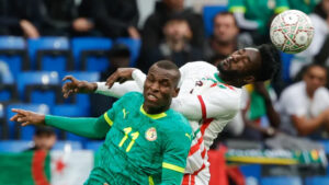 “إغـلاق مركزي في طـنجة.. سيادة الـتيرانـجا تـبتلع مزاد الـصقور الـمفاجئ”