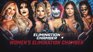 📖 قصة: ليلة الحسم في شيكاغو – Elimination Chamber 2026