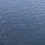 آخر تحديث : “قرصنة سيادية” أم “حصار استراتيجي”؟.. الحرس الثوري يبتلع “MSC FRANCESCA” و”EPAMINONDAS” بزورق واحد! وبورصة التوقعات تشتعل: هل سقط “الخط الأحمر” الأمريكي في مياه إيران؟